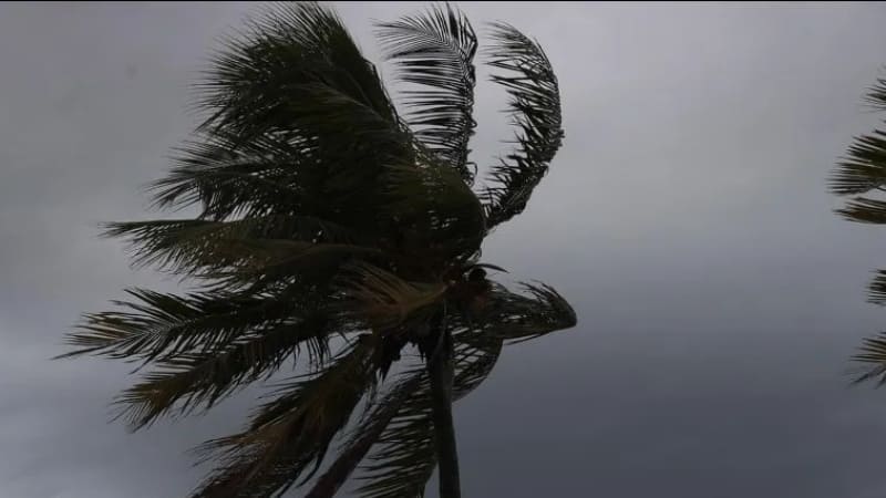 Tormenta tropical ‘Ileana’ en Sonora: Cierran playas de Bahía de Kino para disminuir riesgos