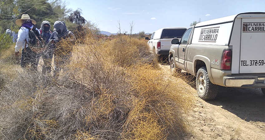 Buscadoras localizan cuerpo en estado de descomposición en Caborca, Sonora