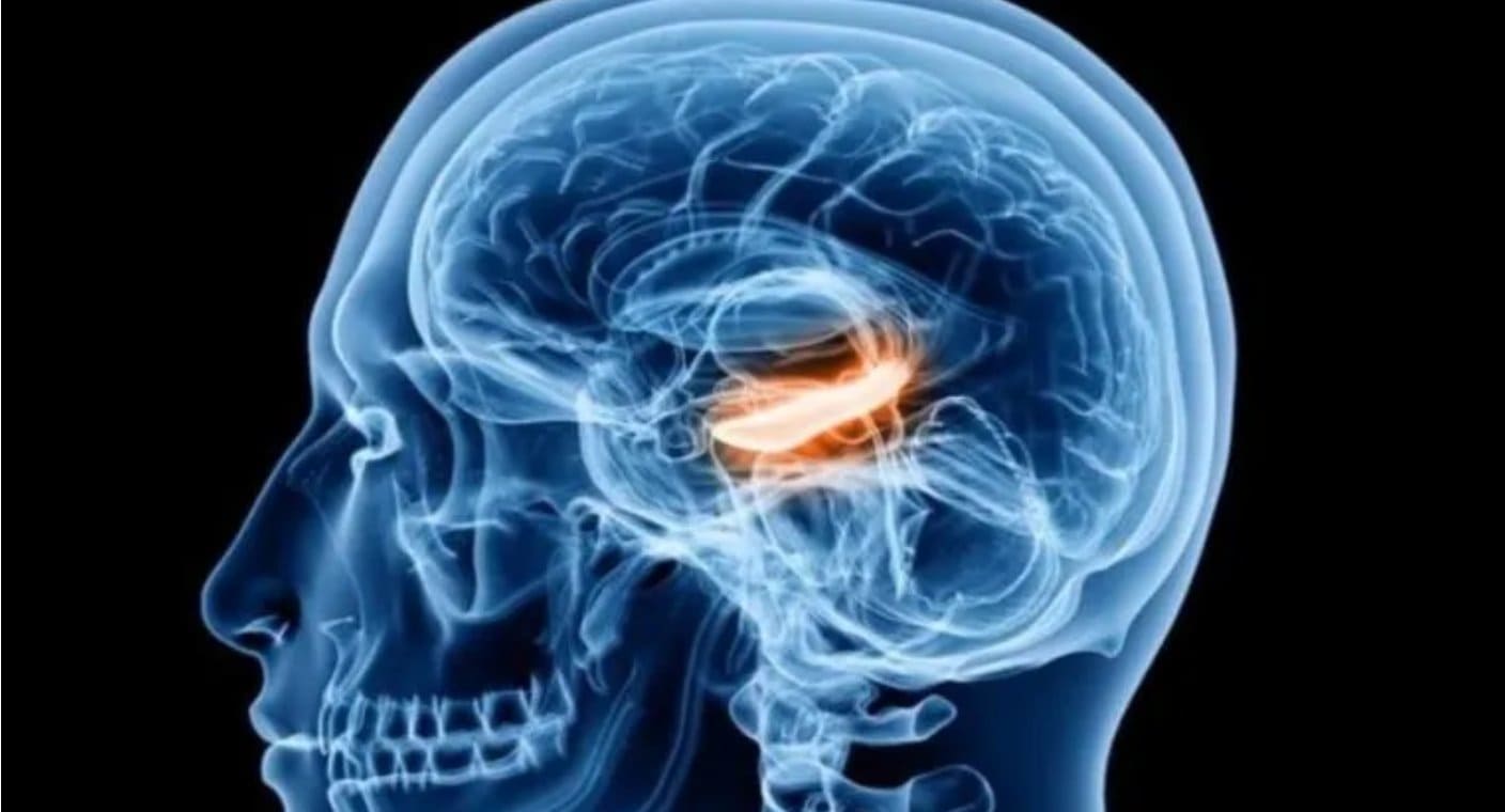 Estrés crónico aumenta 37% probabilidades de sufrir problemas cognitivos a partir de los 45 años