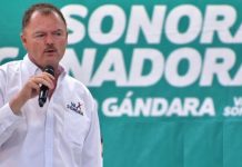 Sonora debe recuperar certificación para exportar camarón: “El Borrego” Gándara