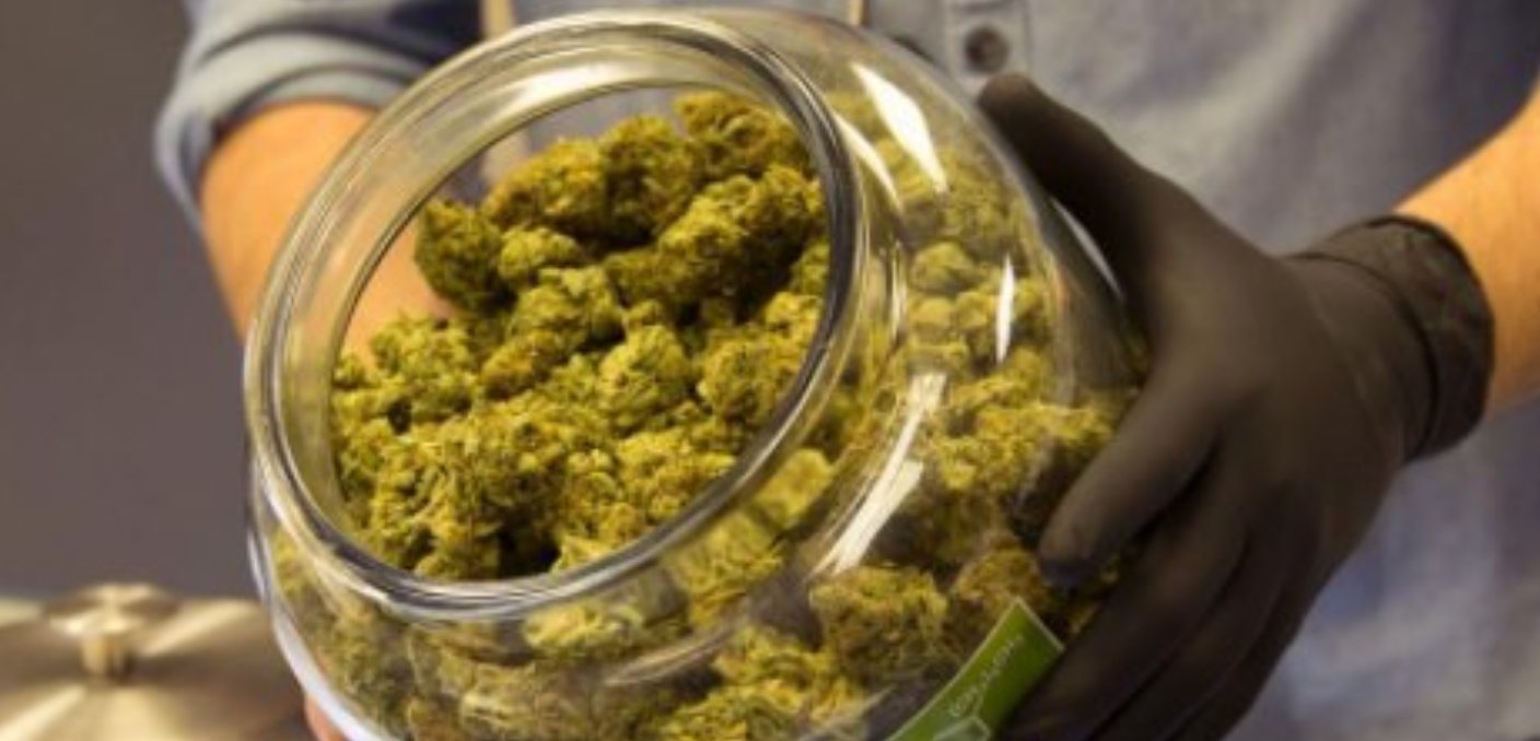 Tras legalización de mariguana, aumentan intoxicación en menores de EEUU