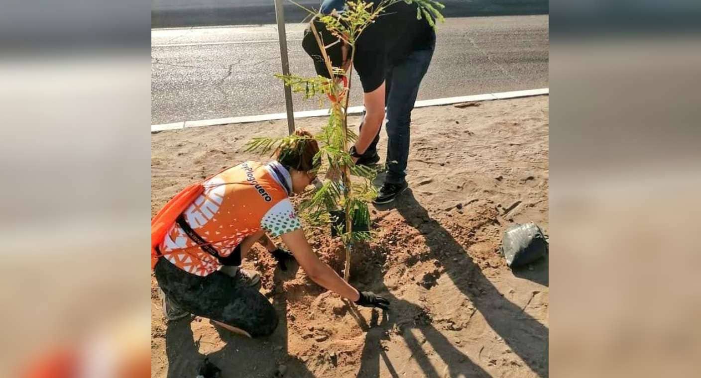 Invitan a reforestar área del Hospital Cruz del Norte, este 22 de junio en Hermosillo