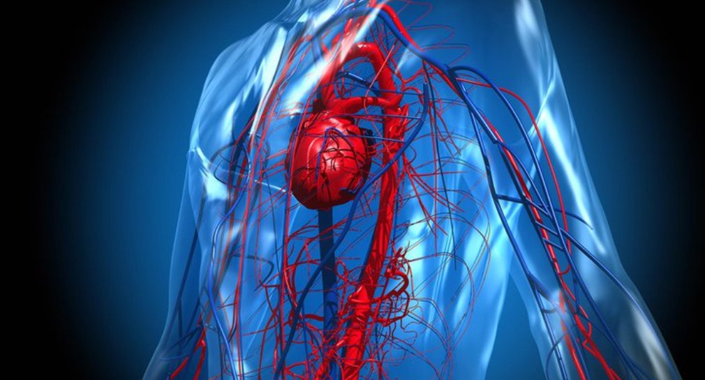 Mujeres tienen más probabilidades de morir tras infarto que hombres: Estudio