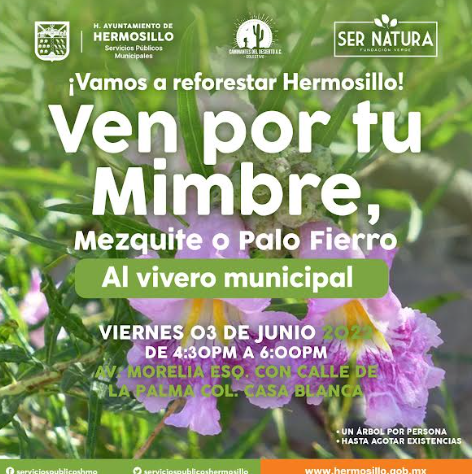 Ante buena respuesta, vivero municipal de Hermosillo y Ser Natura regalarán  árboles este 3 de junio - Proyecto Puente
