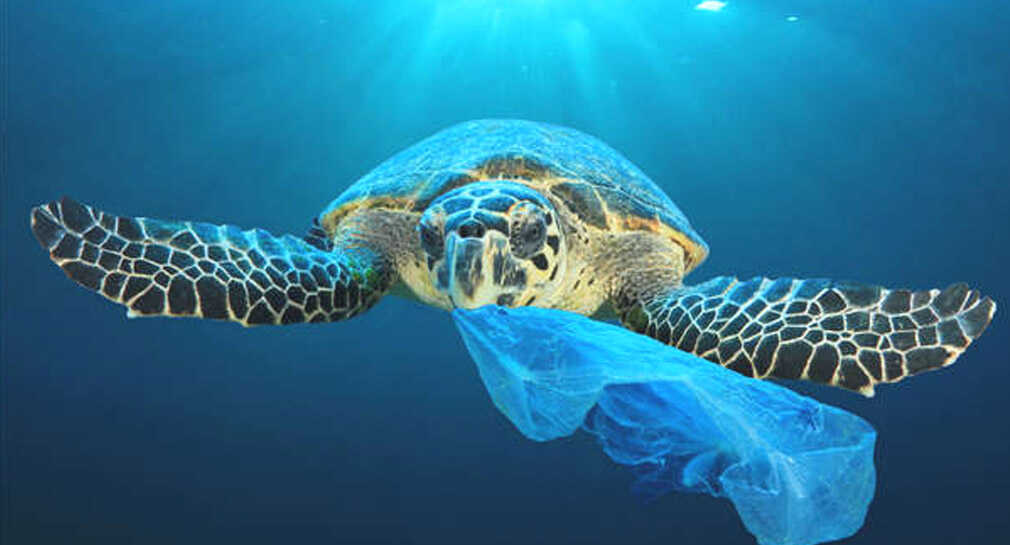 ONU adopta tratado para crear reservas marinas en las aguas internacionales