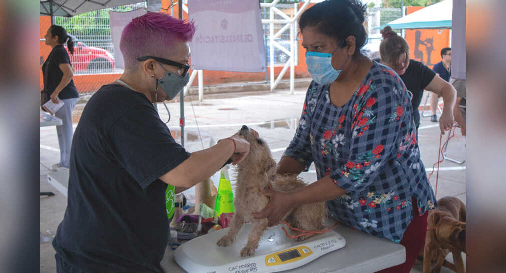They take Dog and Cat Health and Wellbeing Day to Los Olivos in Hermosillo