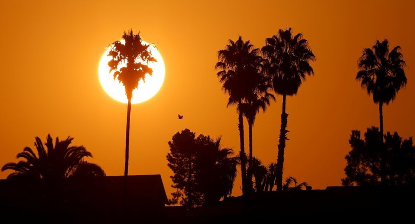 Tras récord de junio, olas de calor continuarán en el mundo durante julio y agosto: OMM