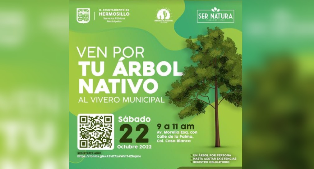 Servicios Públicos Municipales y ambientalistas lanzan campaña de donación  de árboles en Hermosillo - Proyecto Puente