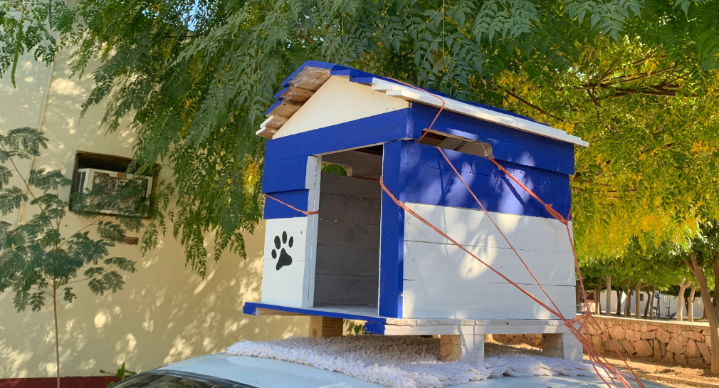 Un carpintero crea la casa para perros más exclusiva del mundo: el precio  ronda los 142.000 euros