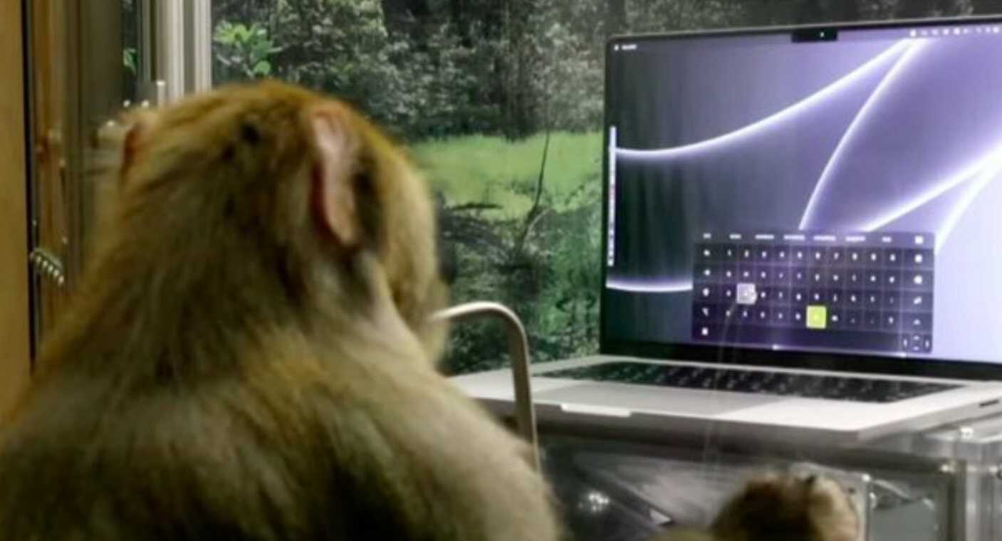 EEUU frena plan de Musk y Neuralink para probar chips en cerebros humanos