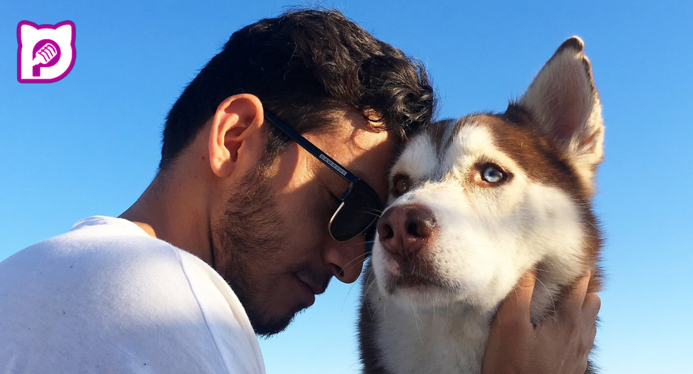 “Mi perro decidió acompañar a mi novio en su otra vida”: La historia de Dante, la mascota que murió de tristeza
