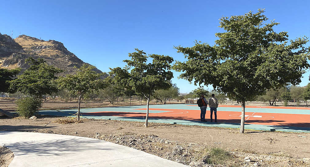 Ambientalistas y gobierno de Hermosillo plantarán 700 árboles en campos de El Cárcamo
