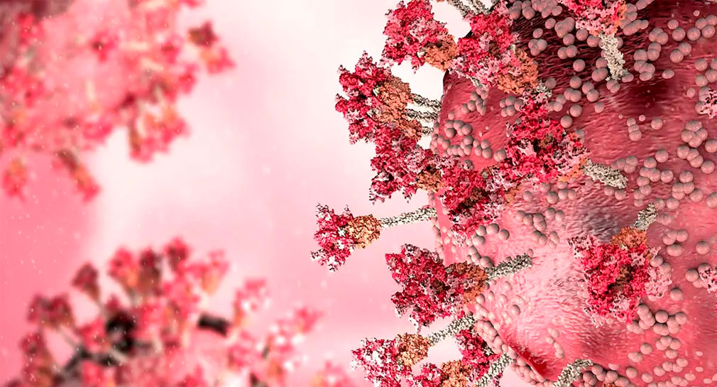 XBB.1.5, nueva subvariante de covid-19, encabeza contagios en EEUU