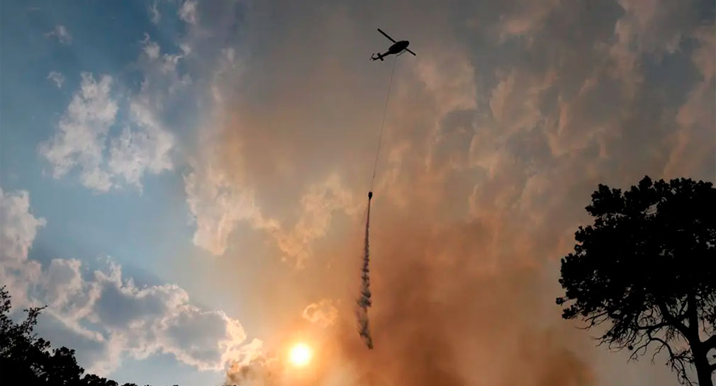 Incendios forestales cuestan al mundo 50 mil mdd al año, afirma Foro Económico Mundial