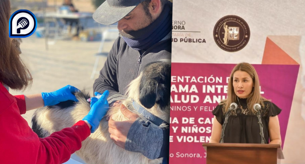 Rabia es mortal en mascotas, es importante la vacunación y mantenerlos en casa: Bienestar Animal en Hermosillo