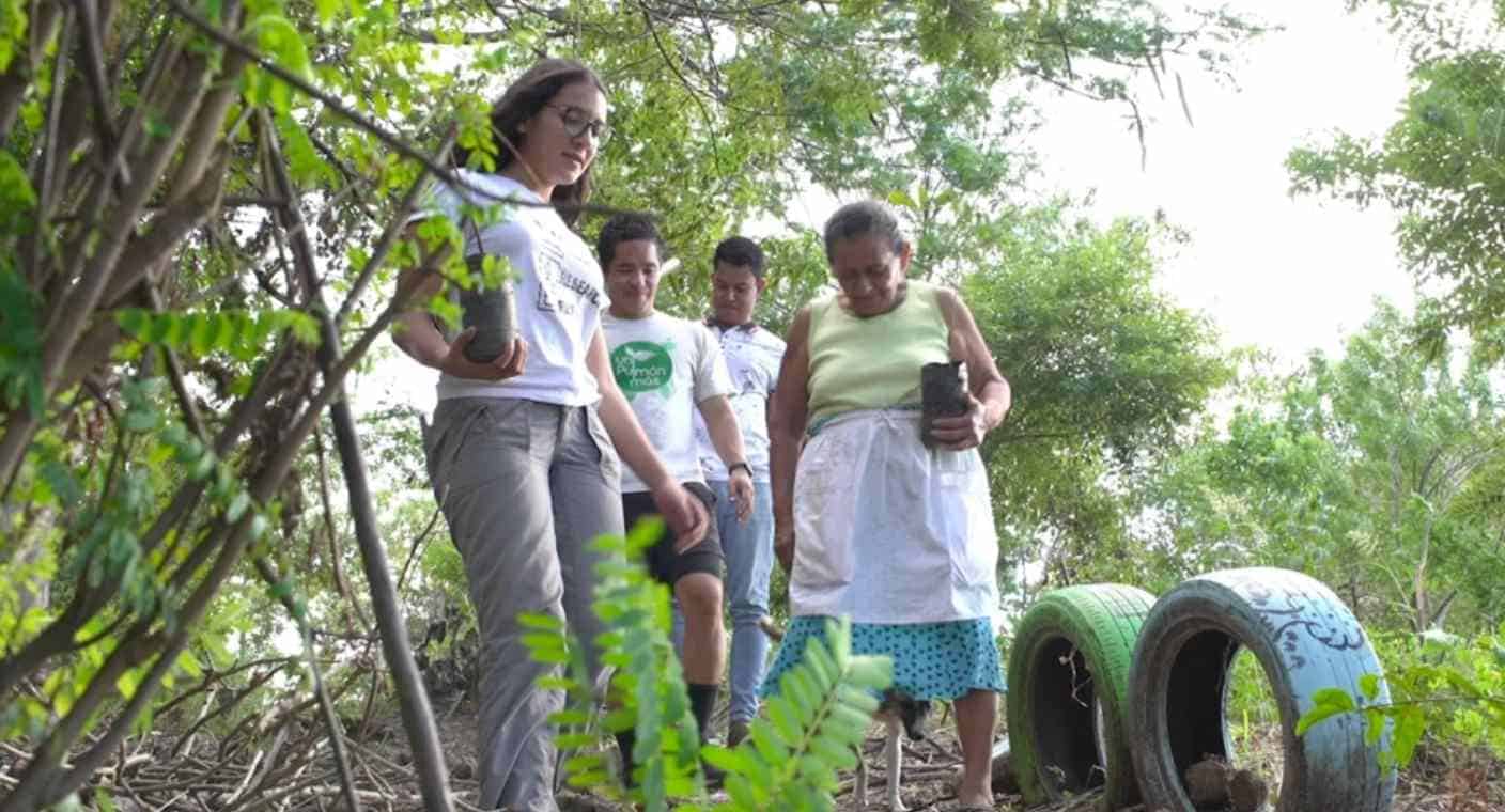 En 7 años, jóvenes plantaron 12 mil árboles para salvar del fuego y la tala a un cerro histórico de El Salvador