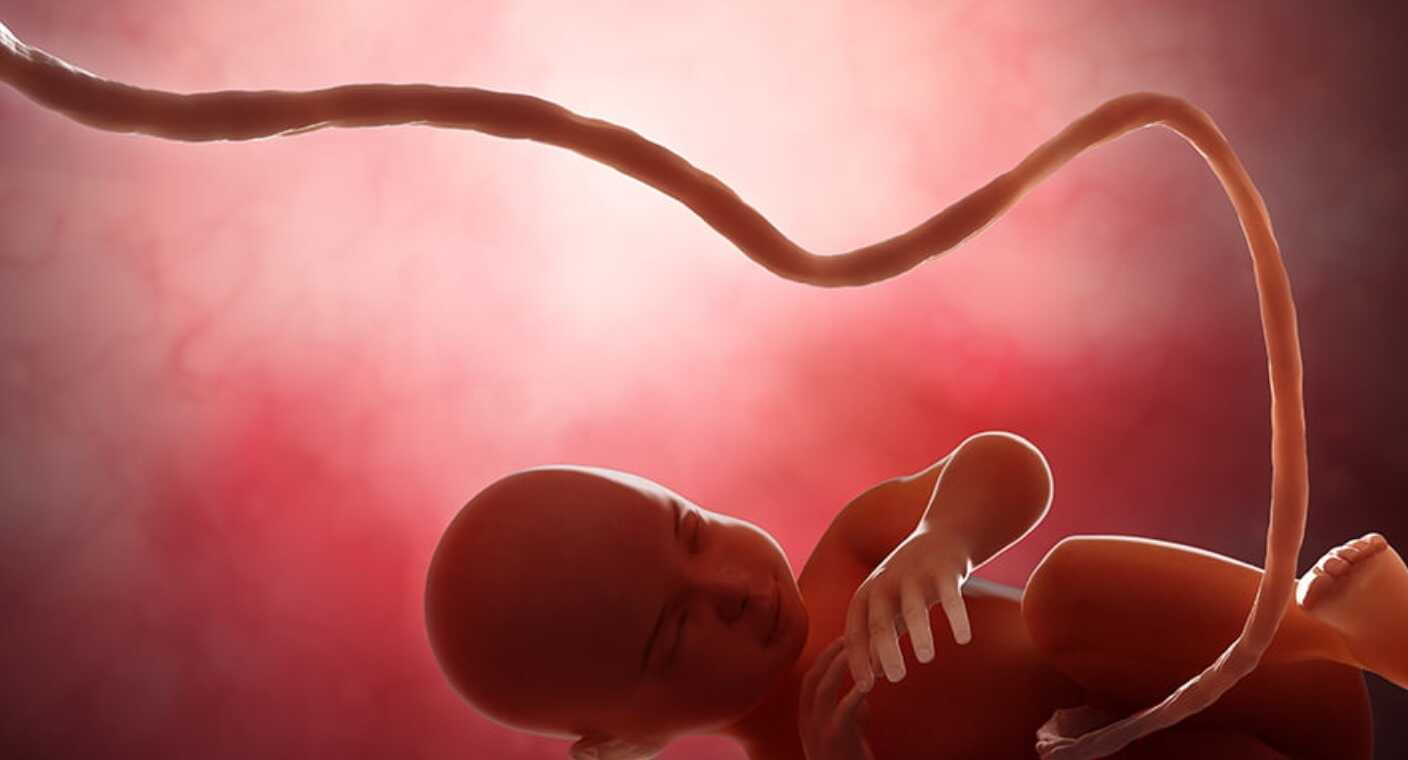 Científico mexicano asegura que para tratamiento de cáncer sería viable usar cordón umbilical