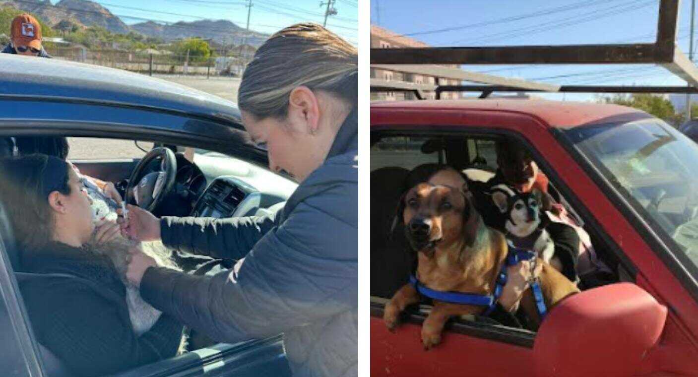 Aplica Salud Sonora vacunas antirrábicas desde los autos a perros y gatos desde en colonias Solidaridad y Real del Catorce de Hermosillo