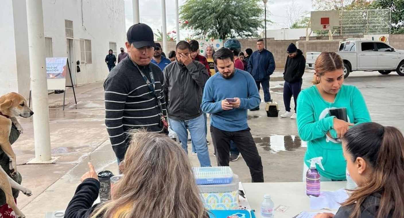 Realizarán jornada de salud animal en colonia Colosio de Hermosillo; solicitan a personas que lleven sus mascotas