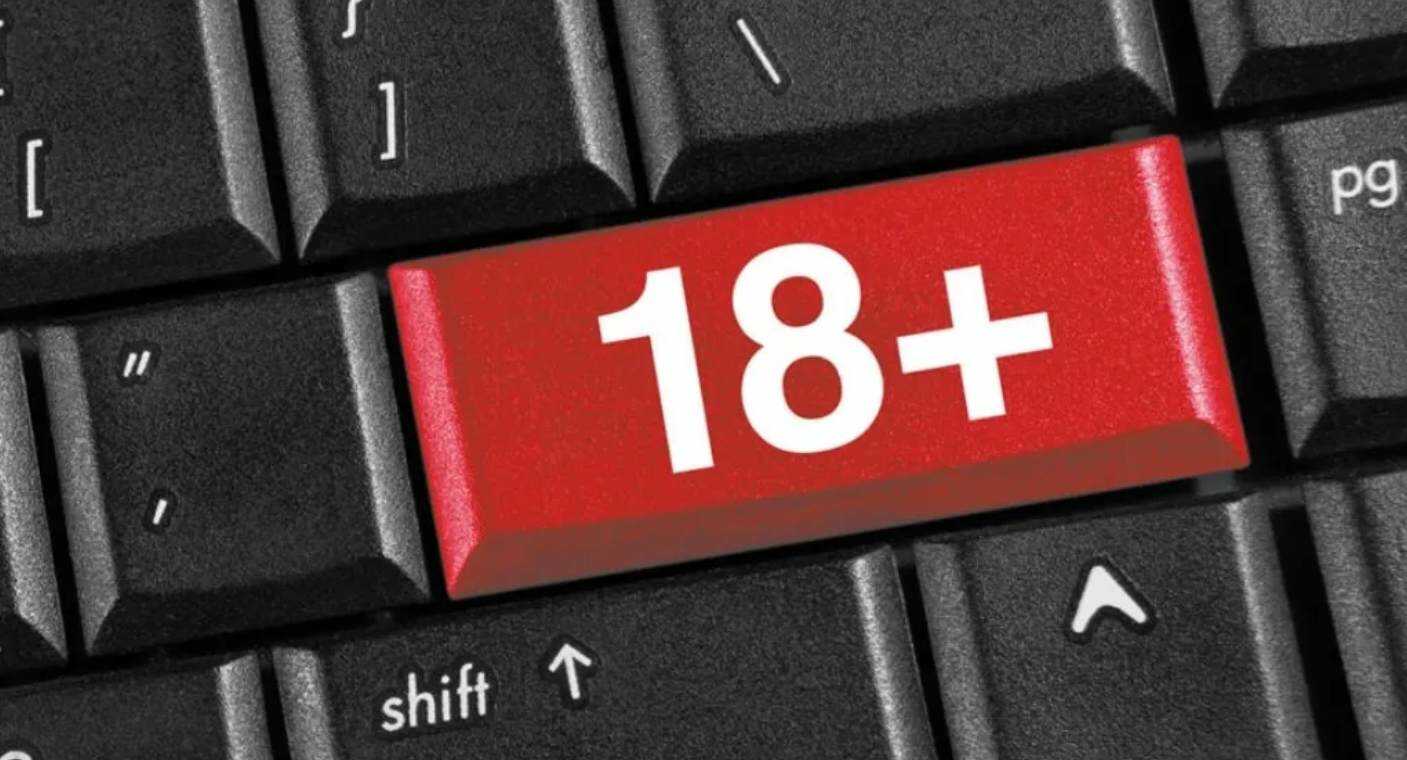 Francia crea certificado digital para que menores no accedan a contenido para adultos