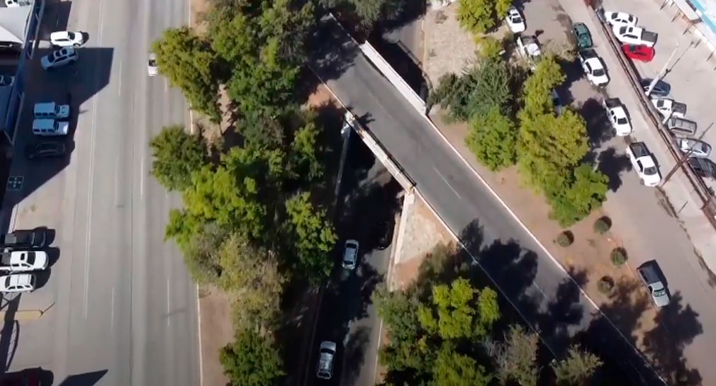 No hay garantía que árboles se puedan trasplantar de puente del bulevar Luis Encinas en Hermosillo: Ambientalista