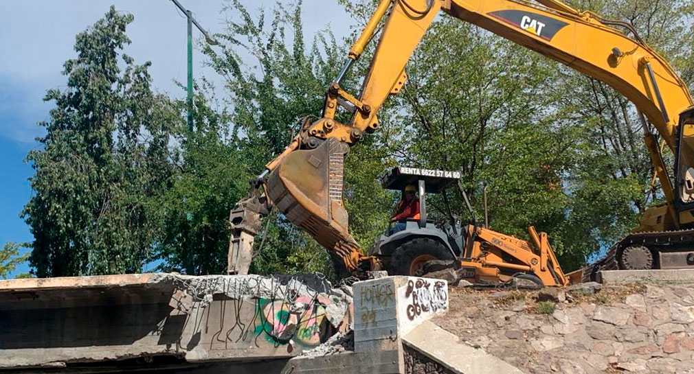 Se trabaja para que árboles del Luis Encinas tengan el menor daño, replantarán 80%: Cidue