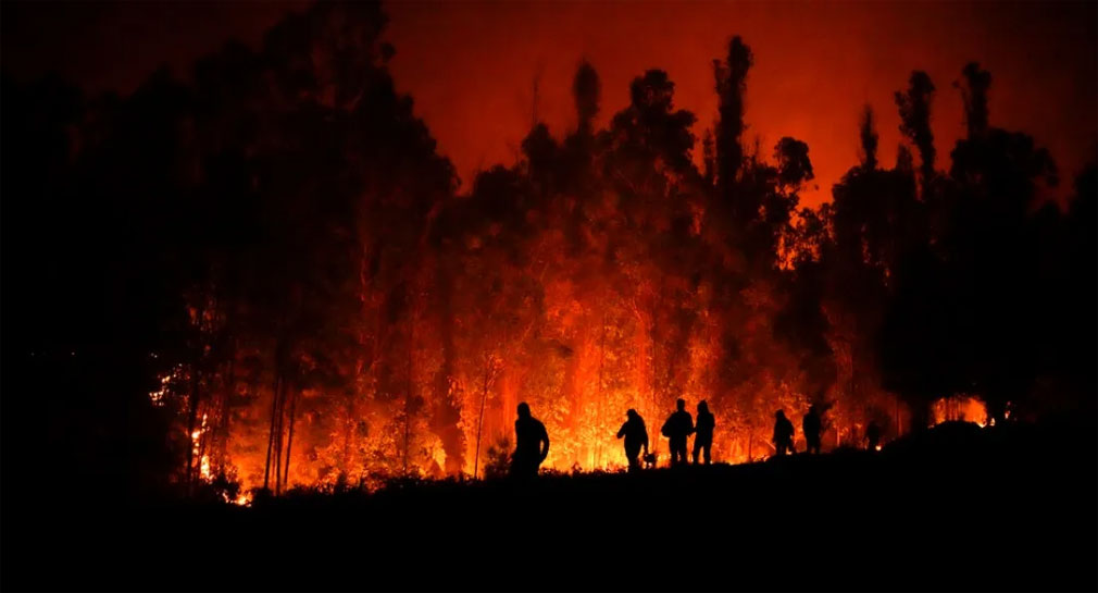 Incendios forestales en Chile dejan 24 muertos, 800 casas destruidas y 10 detenidos