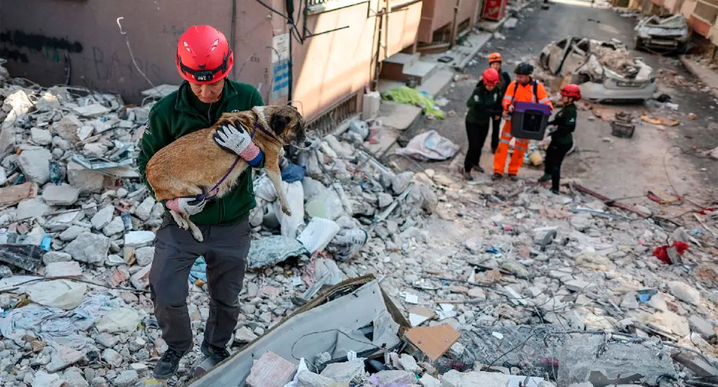 Turquía empieza a cerrar búsqueda de sobrevivientes del sismo; suman más de 41 mil muertos