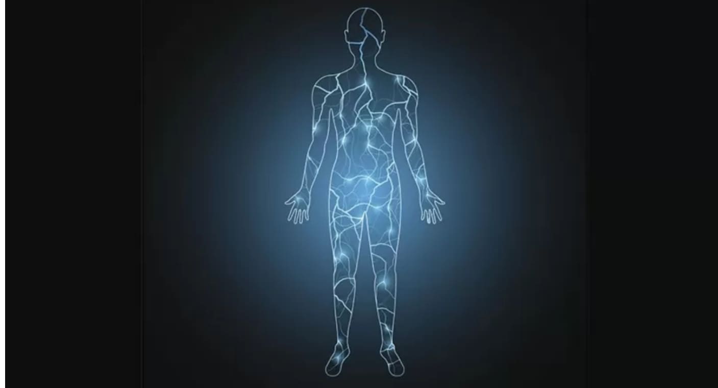 Científicos inician investigación de la red bioeléctrica del cuerpo humano para revolucionar el tratamiento del cáncer