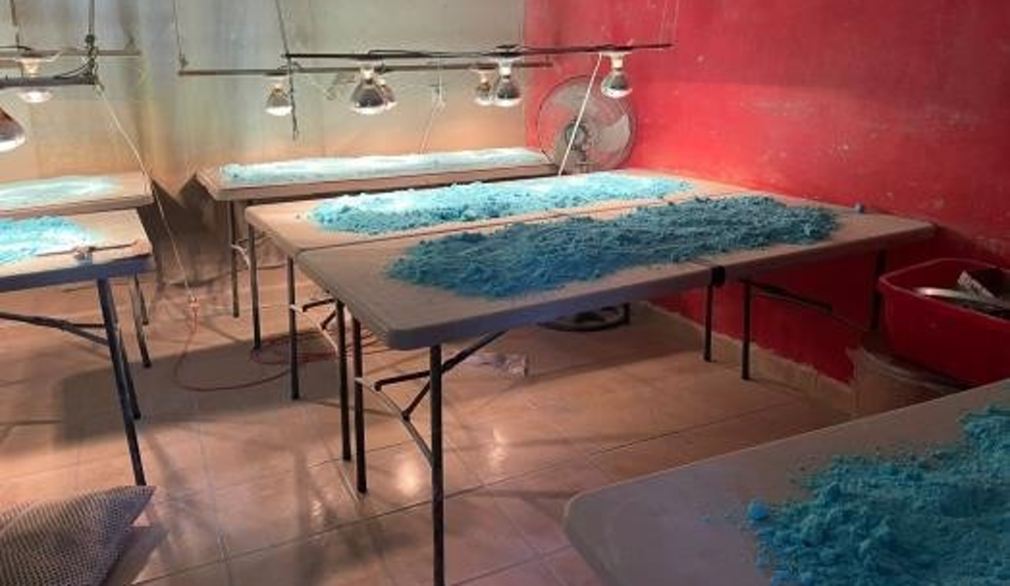 EEUU pide a México capturar a más narcotraficantes y desmantelar más laboratorios para continuar colaboración