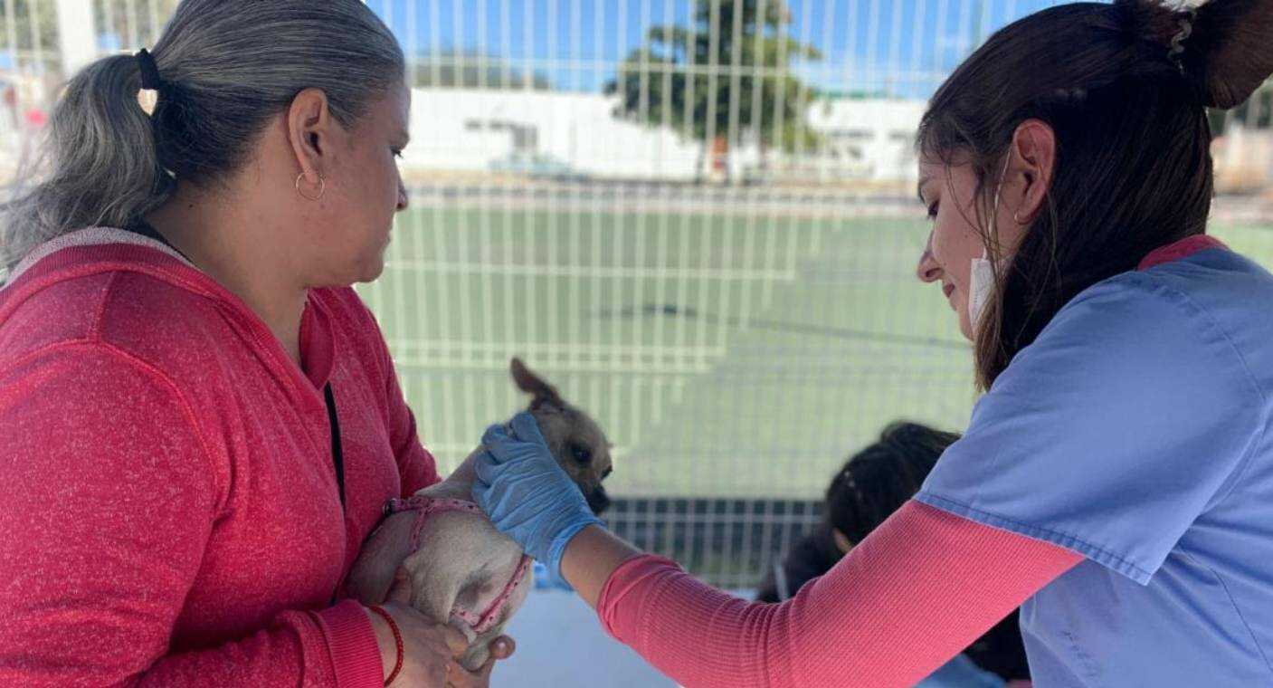 Realizan jornada de salud animal en colonia Jacinto López de Hermosillo