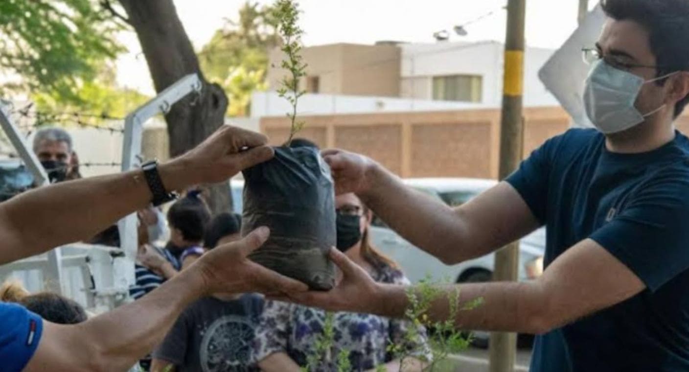 Vivero Municipal de Hermosillo donará 500 plantas nativas en primera jornada del año