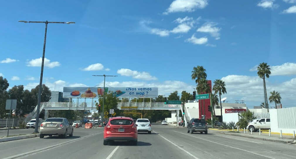 Preocupa a ambientalistas extracción de 32 árboles por ampliación de carriles en puente desnivel de Luis Encinas y Veracruz