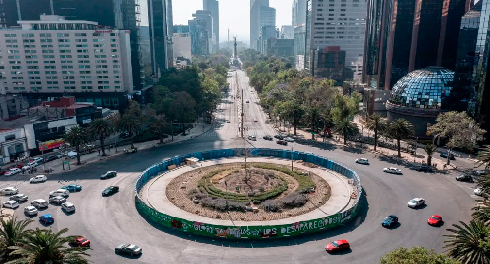 Ahuehuete Reforma Reubicarán ahuehuete de Paseo de la Reforma en CDMX en vivero de ...