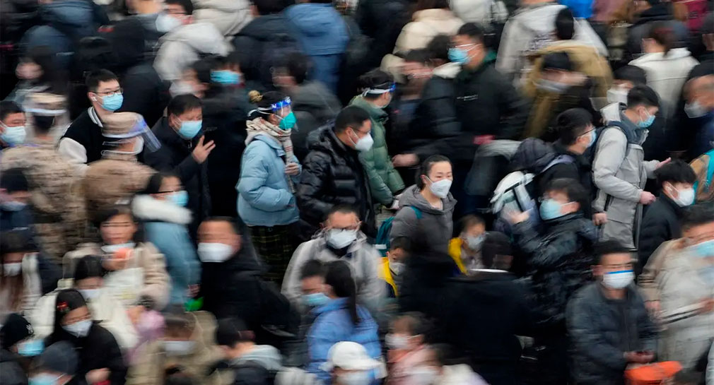 Todas las variantes de gripe aviar tienen potencial pandémico, advierte la OMS