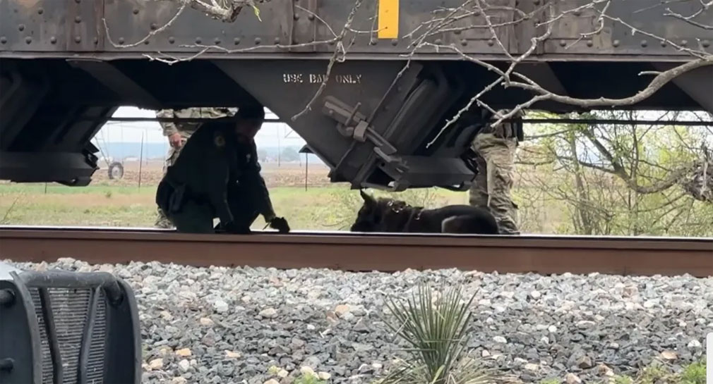 Mueren 2 migrantes y 10 más hospitalizados tras sofocarse en tren al sur de Texas