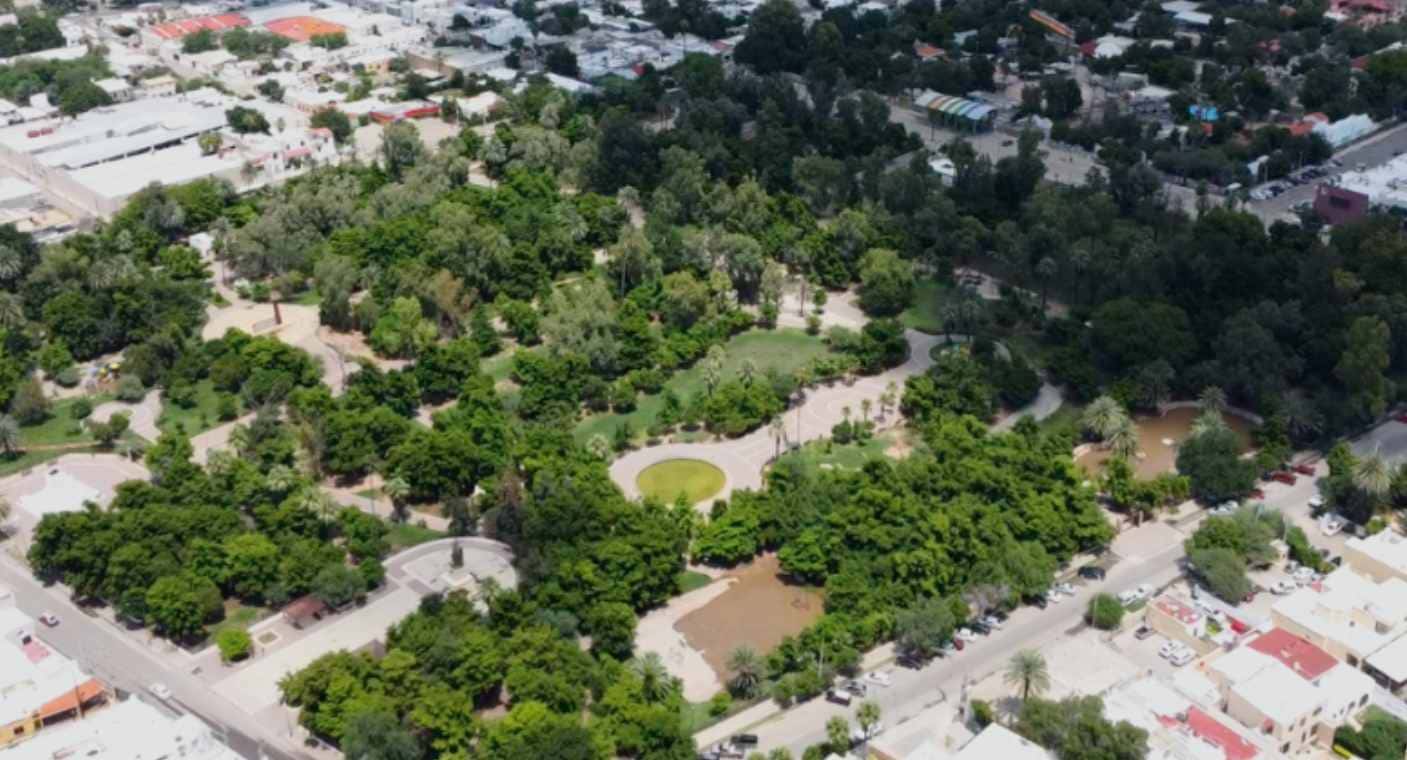 Por Ley, negocios comerciales e industriales de Sonora deberán plantar árboles nativos en sus estacionamientos