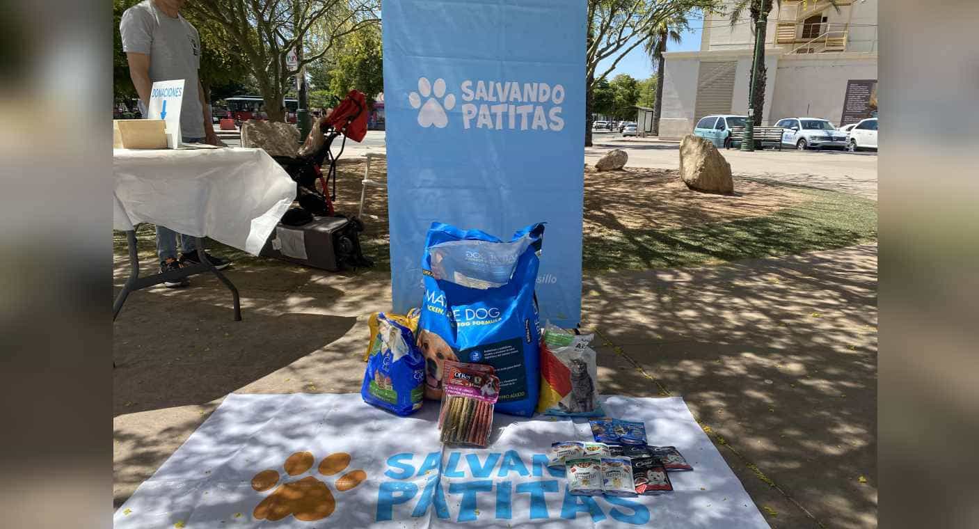 Salvando Patitas realiza colecta de comida para perros y gatos en Plaza Alonso Vidal de Hermosillo