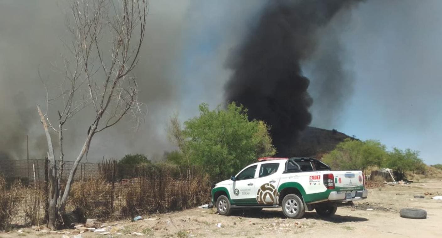 Incendios en Hermosillo son por zacate buffel traído de África; están acabando con árboles nativos: Sergio Müller