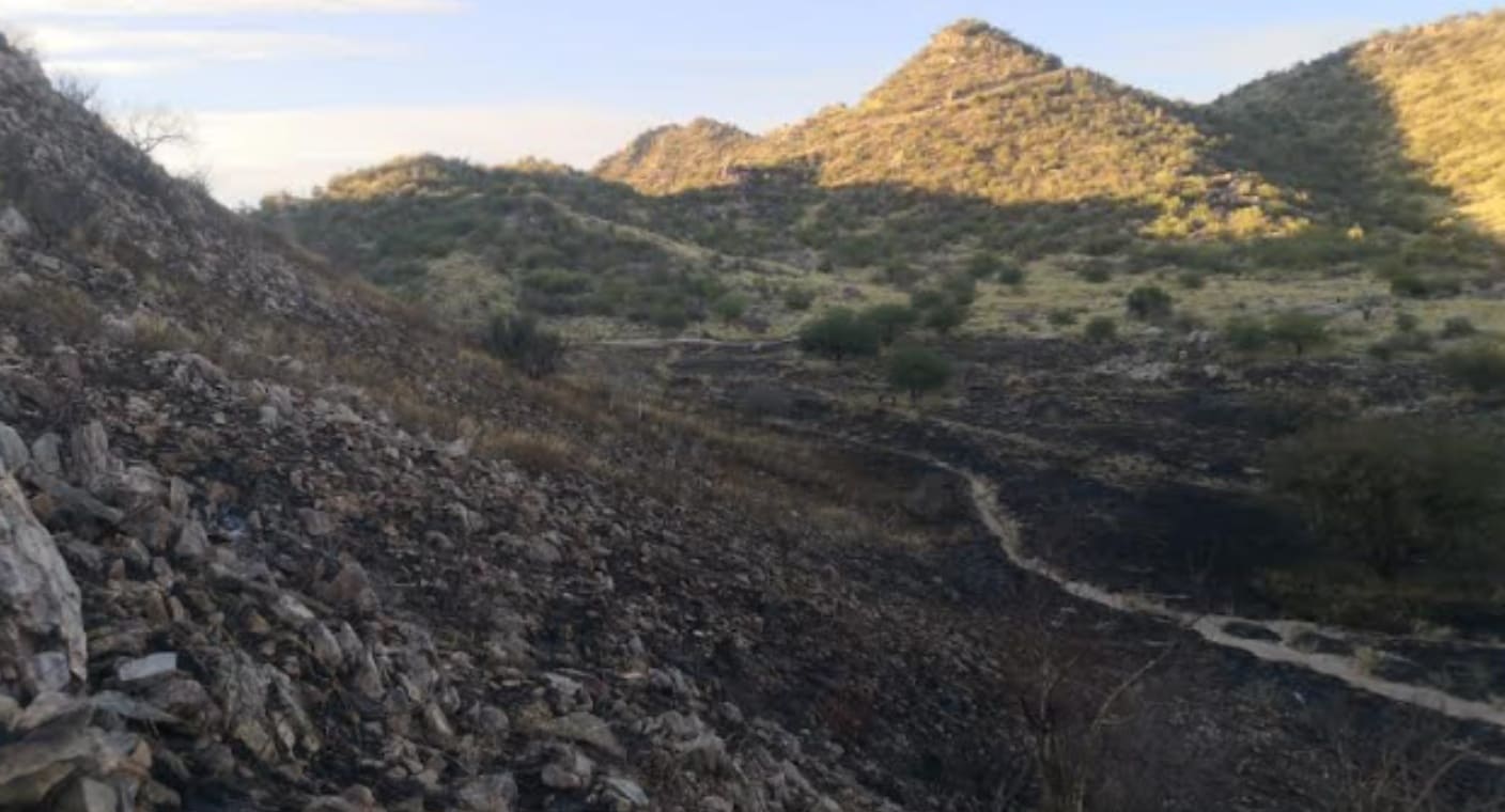 Ambientalistas piden a las autoridades investigar incendios en el Cerro Johnson de Hermosillo