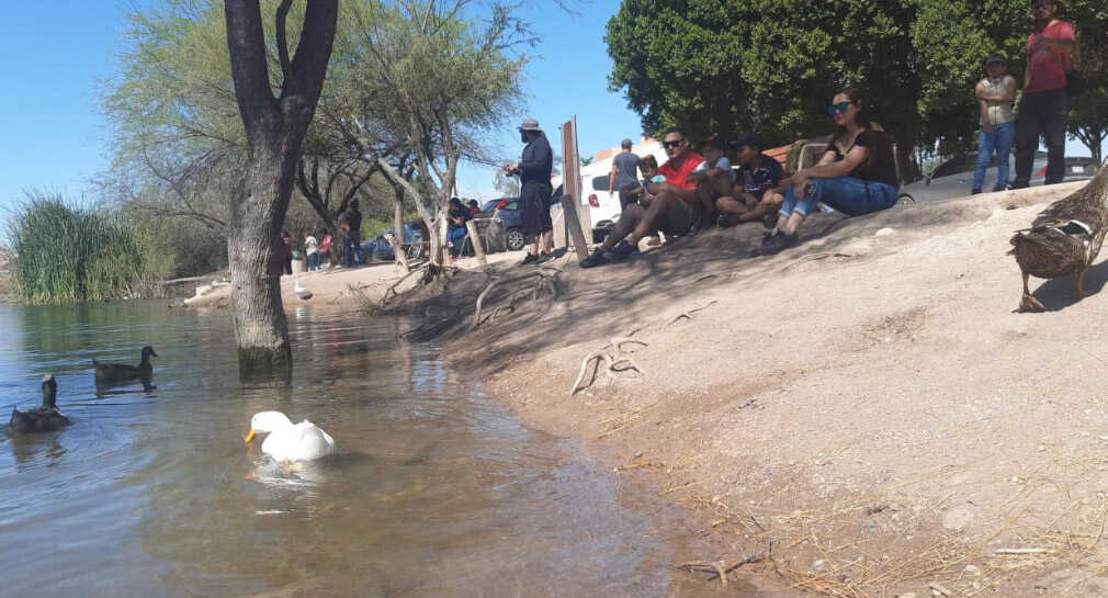 Pescar, disfrutar en familia y dar paseos al aire libre realizan hermosillenses este domingo en humedal de La Sauceda