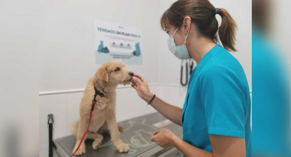 En abril comenzará a construirse clínica veterinaria gratuita en Hermosillo: Gobierno de Sonora