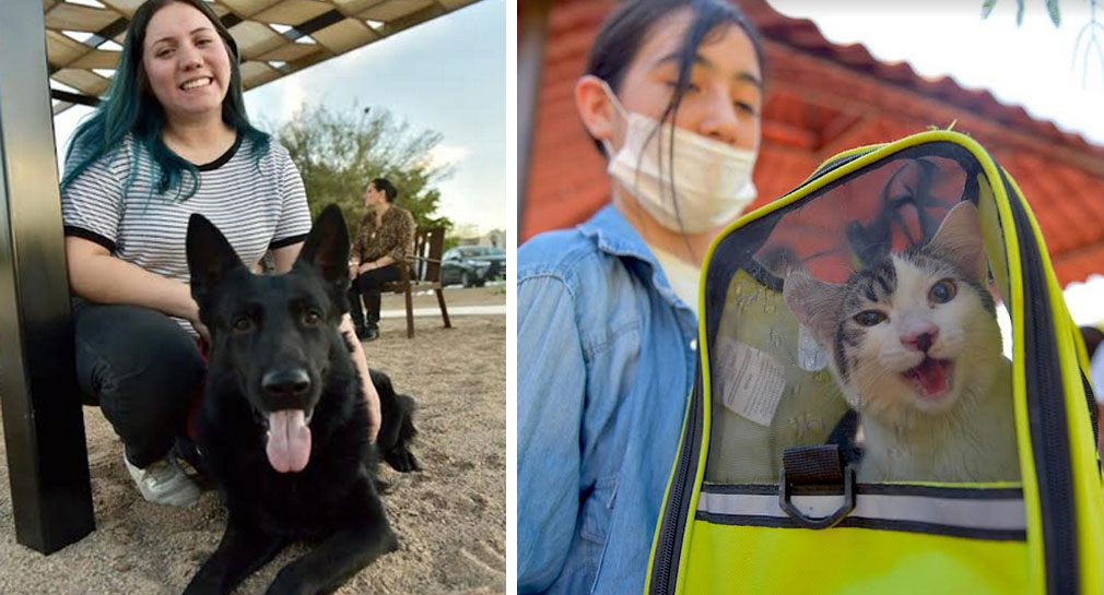Llaman a cuidar de mascotas estas vacaciones de Semana Santa, si se quedan en casa o se van fuera de la ciudad