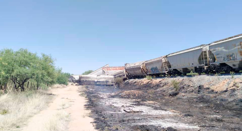 Ambientalistas obtienen suspensión contra tala injustificada para Tren Maya