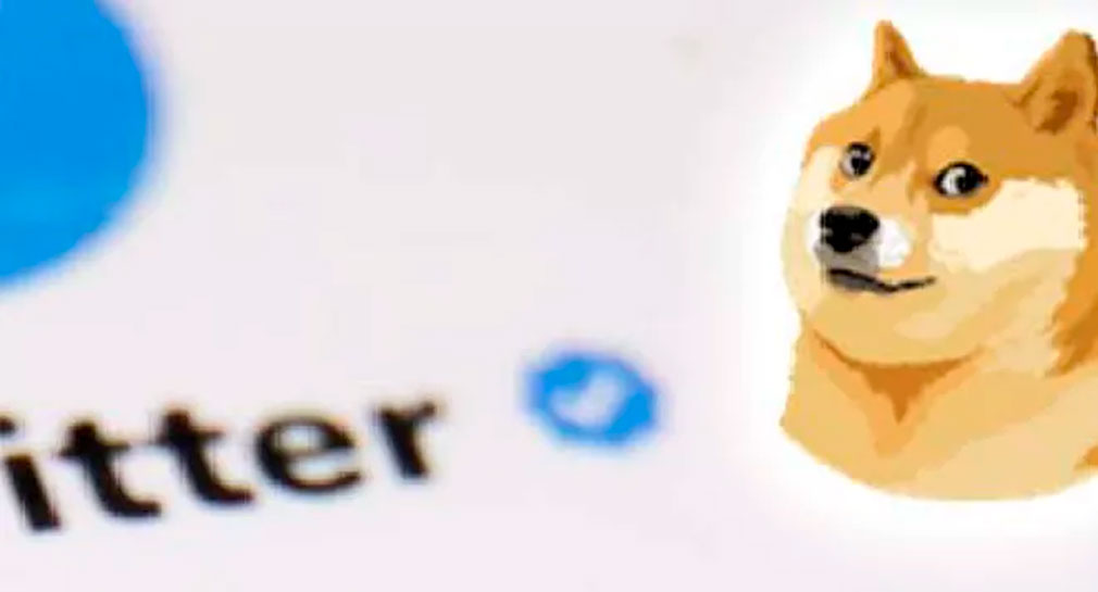 Twitter cambia a su tradicional pajarito azul por el perro de un meme