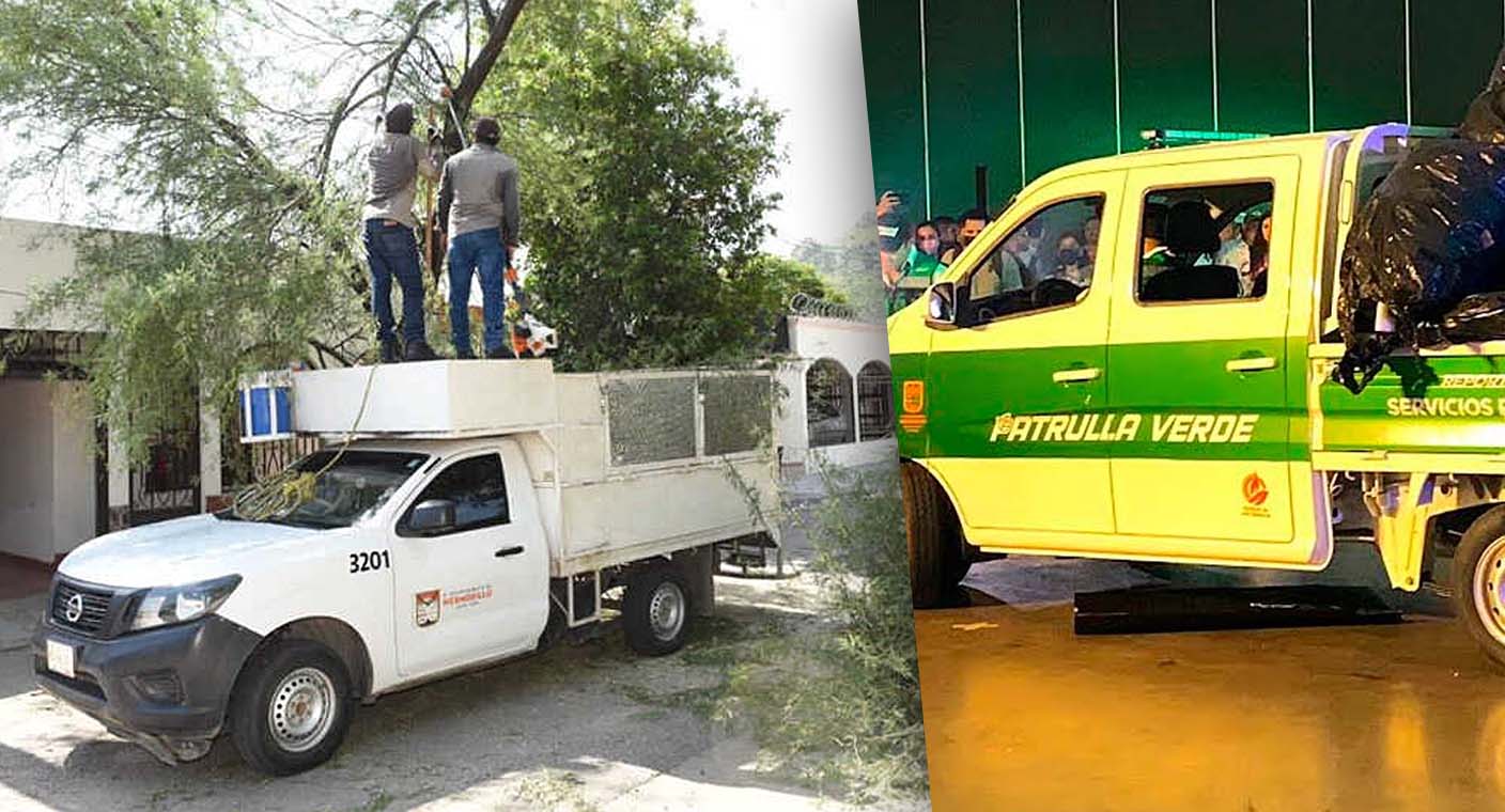 ¿Cómo solicitar permiso para talar un árbol en Hermosillo? Titular de Ecología te explica