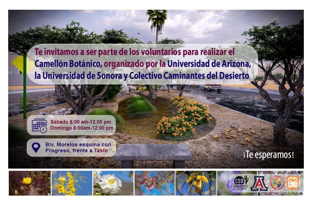 Por Día Mundial de la Tierra, agrupaciones e institutos realizarán  actividades ambientales en Hermosillo y Bahía de Kino - Proyecto Puente
