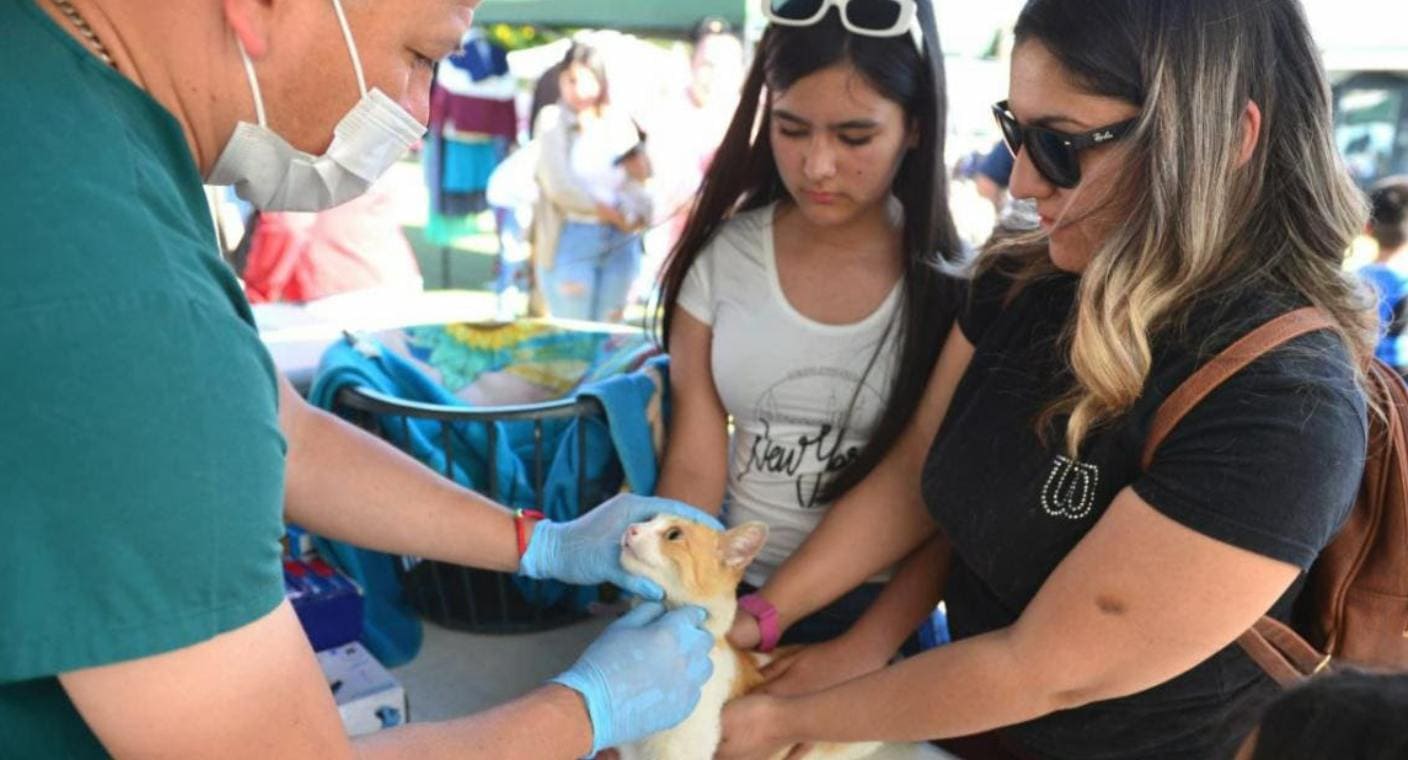 Más de 100 mascotas reciben atención médica en la Jornada de Bienestar