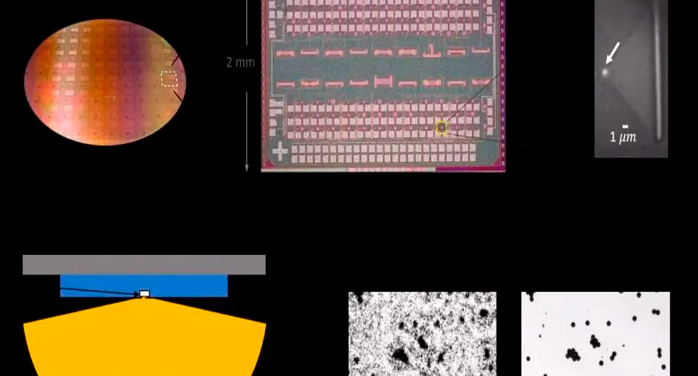 Crean LED que transforma celulares en potentes microscopios