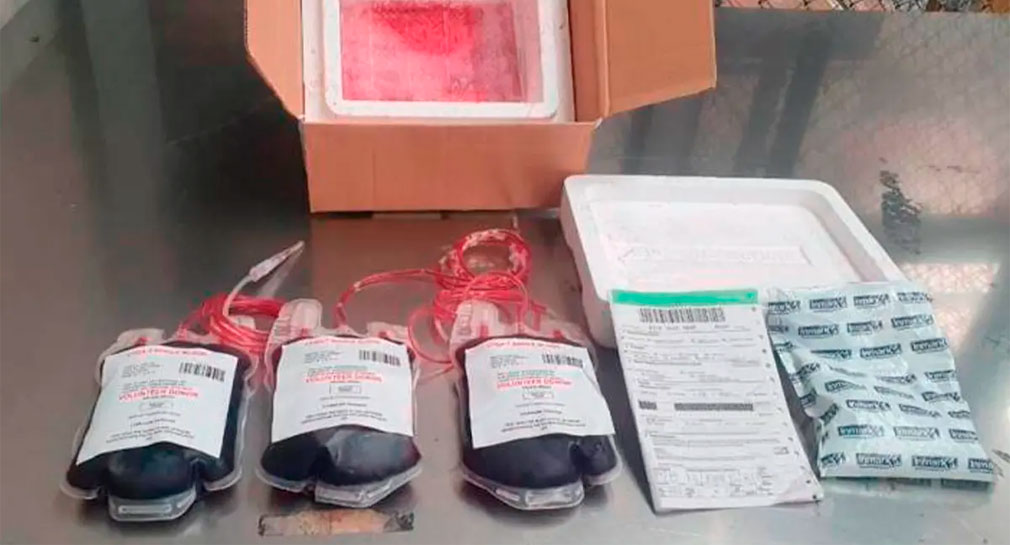 Descubren cocaína oculta en muestras de sangre que iban de Medellín a Ámsterdam
